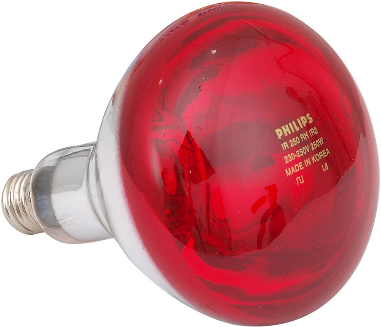 Promiennik podczerwieni HardGlass Philips czerwony 150 W