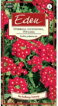 Eden WERBENA OGRODOWA WITUŁKA 77916963