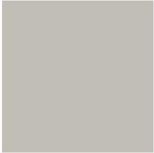 Colorama kartonowe 1,35x11m - Platinum CO581