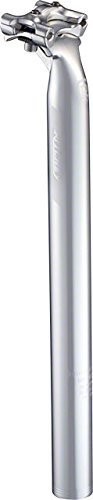 Ritchey Classic Two-Bolt Przesunięcie 25 Mm, Srebrny (41-310-156)