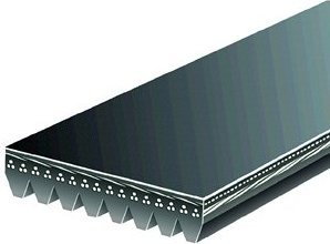 ArmorMark Pasek wielorowkowy 5080865