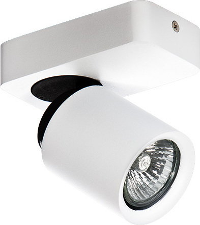 Azzardo Oprawa sufitowa TOMI 1 FH31311A11 WH -