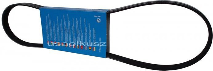 DAYCO Pasek pompy wspomagania Mitsubishi Galant 3,8
