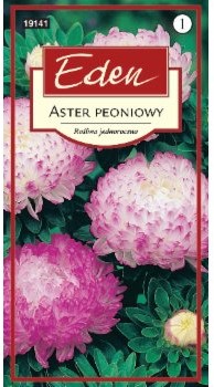 Eden ASTER CHIŃSKI PEONIOWY ANIELKA 32338998
