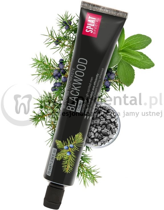 Splat Kosmetika SPLAT Special BLACKWOOD 75ml - czarna pasta do zębów o silnym działaniu wybielającym