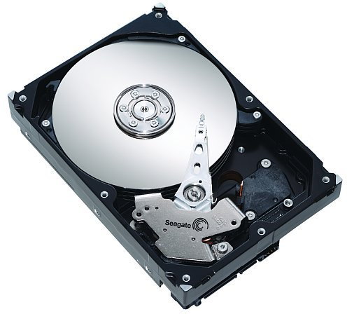 Seagate ST3250410AS