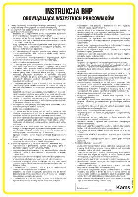TD IAA01 Instrukcja ogólna BHP obowiązująca wszystkich pracowników