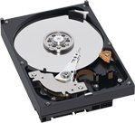 Western Digital Caviar Green WD5000AACS