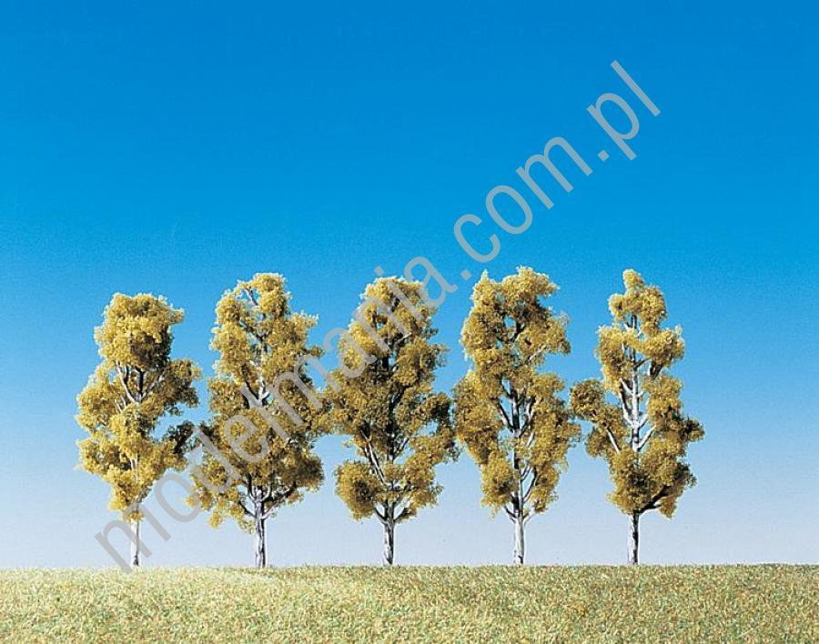 Faller Brzoza 5,5cm / 5szt. 181486