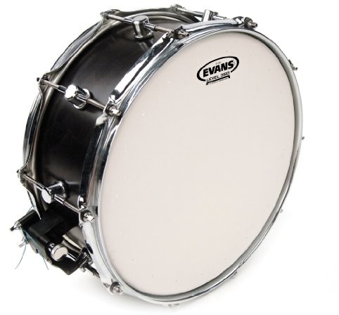 Evans evans b13std 33,02 cm (13 cale) Snare sierść Super Tough Dry Coated B14STD