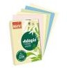 Adagio Papier Rey Ksero A4 5 x 100 kolory pastelowe ADAGI080X908