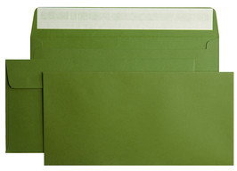 Fedrigoni Fabriano Colore+Pistacchio 110x220mm 115g HK 20F115C-P-DL-HK