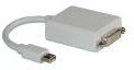 Roline Adapter AV Mini DisplayPort - DVI, Biały 12.03.3128