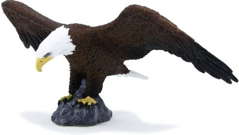 Animal Planet  Bielik amerykański 607171 F7027