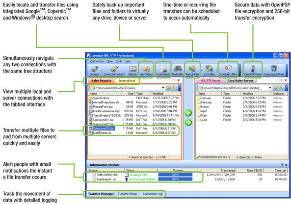 Ipswitch WS_FTP Professional (5 stan.)