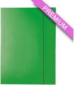 Esselte Teczka z gumką lakierowana zielona ES067-4