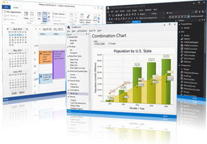 Codejock Software Xtreme ToolkitPro (1 rok)
