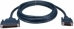 Cisco RS-449 Cable, DTE, Male, 10 Feet CAB-449MT=