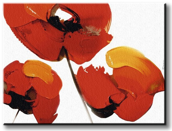 Art group Digital Three Poppies - White - Obraz na płótnie WDC45056