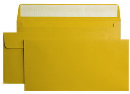 Fedrigoni Fabriano Colore+Avocado 110x220mm 115g HK 20F115C-AV-DL-HK