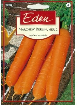 Eden MARCHEW BERLIKUMER 2 NASIONA NA TAŚMIE 50931401