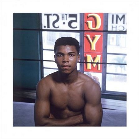 Pyramid Posters Muhammad Ali (Window) - reprodukcja PPR45267