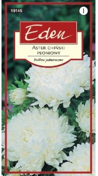 Eden ASTER CHIŃSKI PEONIOWY NIMFA 98166838