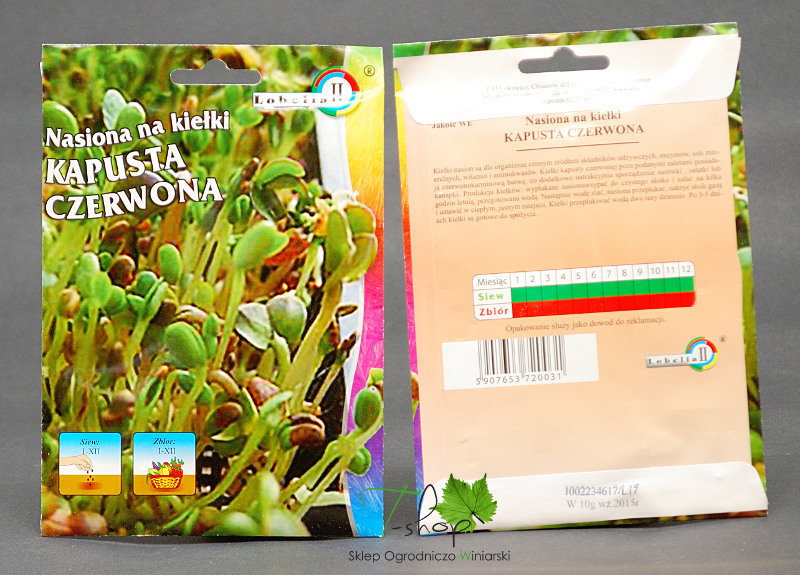 Nasiona na kiełki KAPUSTA CZERWONA 10g L