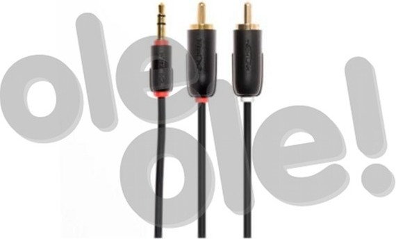 Techlink jack 3,5mm / 2x RCA (chinch) 710023