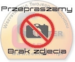 Фото - Інша автоелектрика Bosch Palec rozdzielacza zapłonu  1 234 332 309 