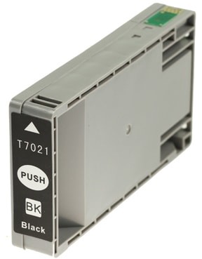 T7031