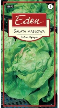 Eden SAŁATA MASŁOWA KRÓLOWA MAJOWYCH 72150691