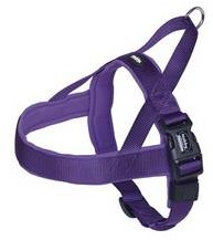 Nobby Classic Preno Norský Postroj Xl Purpurowy