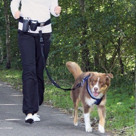 Trixie SMYCZ DO JOGGINGU HANDS FREE CZARNA TX-1275