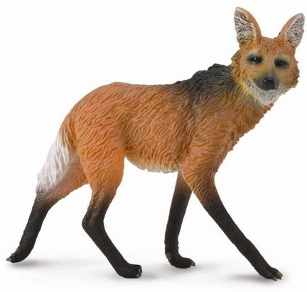 Wilk Maned L