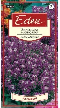 Eden SMAGLICZKA NADMORSKA FIOLETOWA 91982512