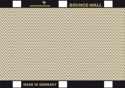 SUNBOUNCE Sunbounce Bounce Wall odbłyśnik Zebra (21 cm x 29,7 cm/8 cali x 11 cali) złoty/srebrny  strona tylna biała 000-B420