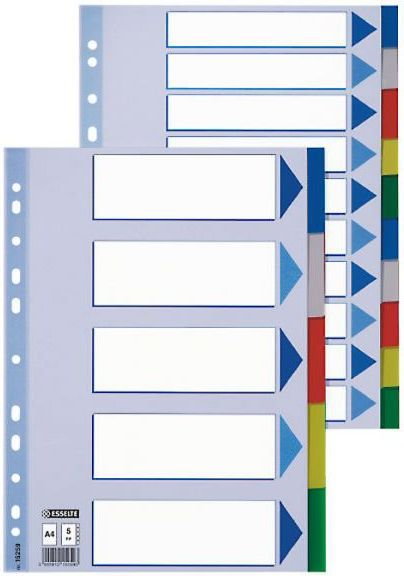 Esselte PRZEKŁADKI PLASTIKOWE A4- 10 KART (0B) 15261