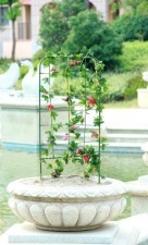 GardenPlus+ Podpora do roślin - drabinka JAW9875