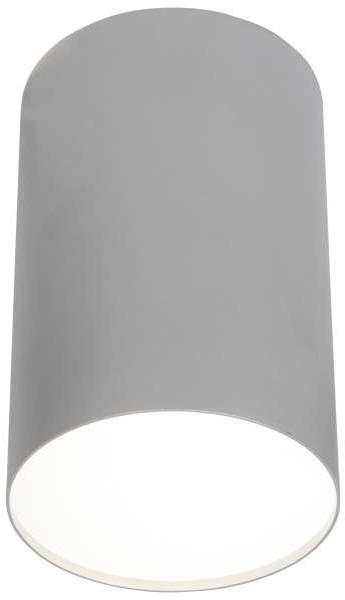 Nowodvorski Plafon LAMPA sufitowa POINT PLEXI L 6531 metalowa OPRAWA SPOT downlight okrągła srebrny