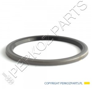 NEW HOLLAND / CASE USZCZELKA 87061147