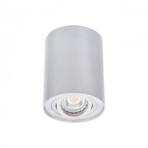 Kanlux Bord Lampa sufitowa 1-punktowa Aluminium DLP-50-AL 22550