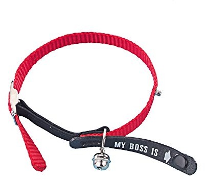 Nobby 78038-01 Adress-Katzenhalsband My Boss Is