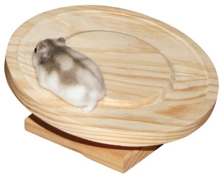 Kerbl Hamsterlaufteller Aus Holz 20 Cm