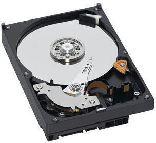 Western Digital Caviar WD7500AYPS