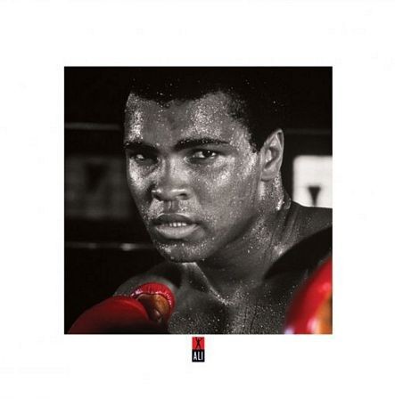 Pyramid Posters Muhammad Ali (Rękawice bokserskie) - reprodukcja PPR45165