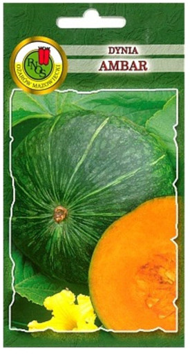 Nasiona dynia Ambar