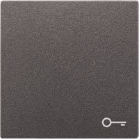 Jung Klawisz pojedynczy klucz - LS Metal Finish Anthracite