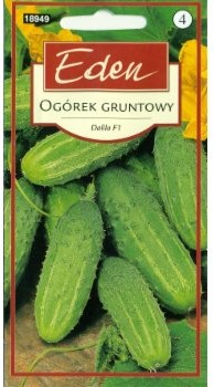 Eden OGÓREK GRUNTOWY DALILA F1 50791094