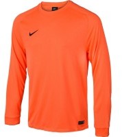 Nike Bluza bramkarska PARK GOALIE II LS M 588418-803 M 588418-803 M